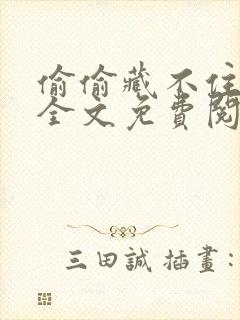 偷偷藏不住小说全文免费阅读无删减封面