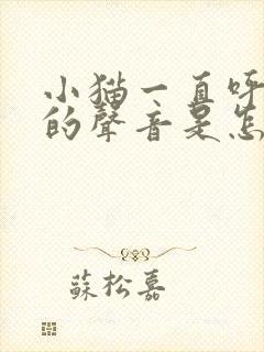 小猫一直呼呼呼的声音是怎么回事封面