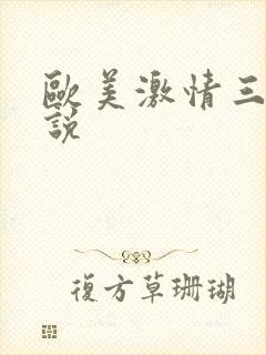 欧美激情三级小说