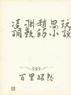 凌渊赵思玟奴妻调教的小说