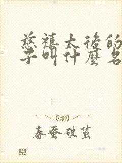 慈禧太后的亲儿子叫什么名