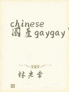 chinese国产gaygay男男网站