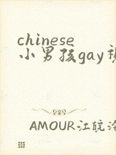 chinese小男孩gay视频男同网站封面