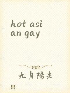 hot asian gay封面