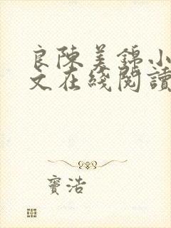 良陈美锦小说全文在线阅读