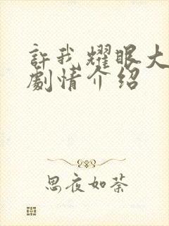 许我耀眼大结局剧情介绍