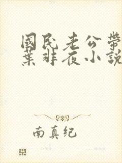 国民老公带回家叶非夜小说