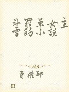 斗罗单女主千仞雪的小说封面