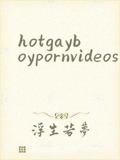 hotgayboypornvideos