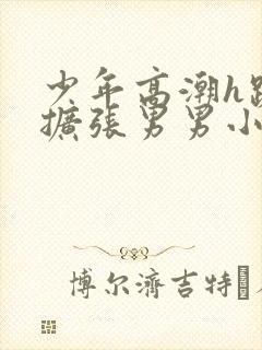 少年高潮h跪趴扩张男男小说