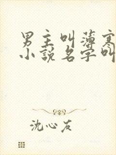 男主叫薄寒年的小说名字叫什么