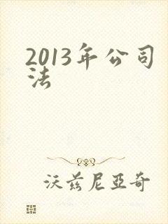 2013年公司法