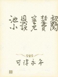 池恩宁楚黎川的小说免费阅读