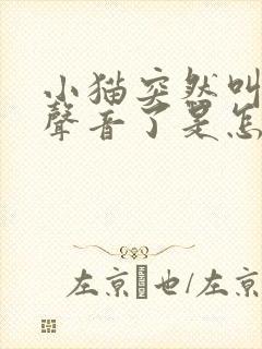 小猫突然叫不出声音了是怎么回事封面