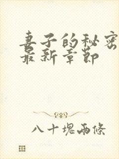 妻子的秘密小说最新章节