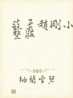 苏柔赵刚小说完整版封面