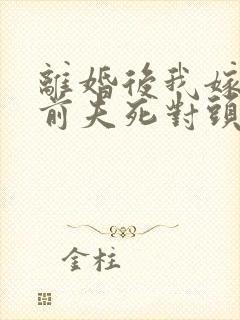 离婚后我嫁给了前夫死对头电子书免费看