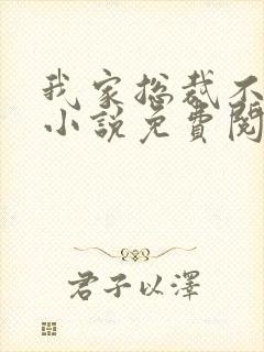 我家总裁不回家小说免费阅读封面