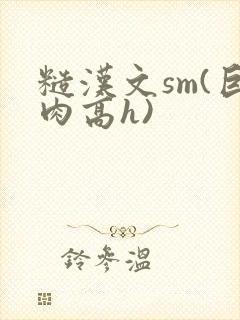 糙汉文sm(巨肉高h)