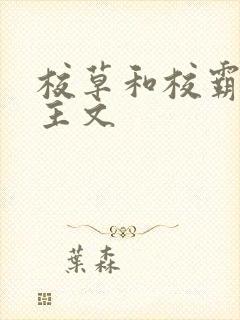 校草和校霸双男主文