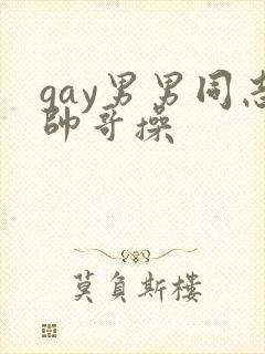 gay男男同志帅哥操封面