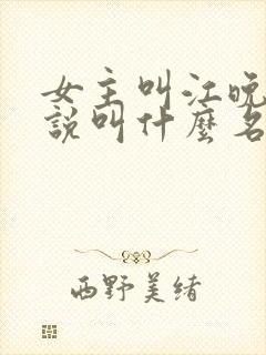 女主叫江晚的小说叫什么名字