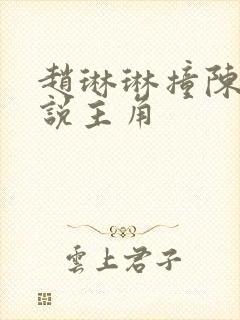 赵琳琳撞陈凡小说主角