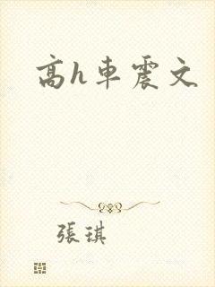 高h车震文