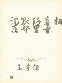 沉默的真相可以在哪里看