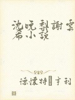 沈晚梨谢云迟叶希小说