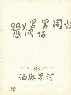 gay男男同性恋网站