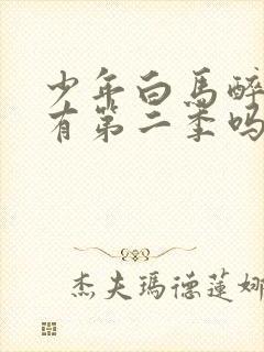 少年白马醉春风有第二季吗?