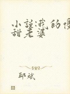 小说:我的傻白甜老婆