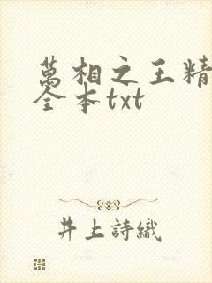 万相之王精校版全本txt