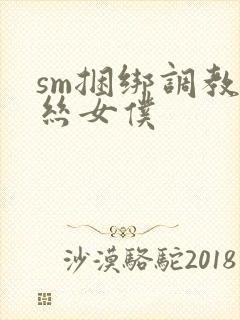 sm捆绑调教白丝女仆封面