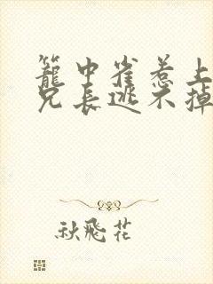 笼中雀惹上偏执兄长逃不掉