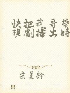 快把我哥带走电视剧播出时间封面