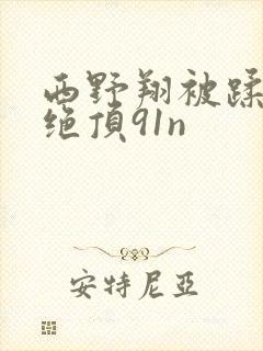 西野翔被蹂躏的绝顶91n