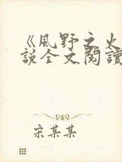 《风野之火》小说全文阅读免费封面