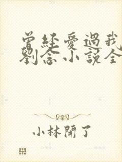 曾经爱过我林伟刘念小说全文免费阅读