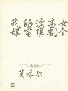 我的漂亮女老板娘电视剧全集封面