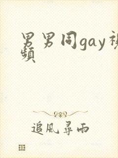 男男同gay视频