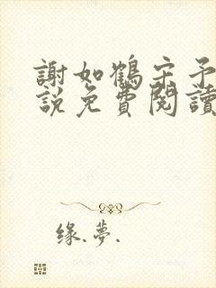 谢如鹤宋予朵小说免费阅读最新章节封面