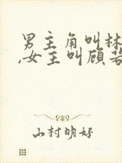 男主角叫林凡的,女主叫顾若曦的小说封面