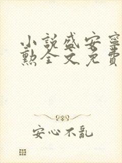 小说盛安宁周时勋全文免费阅读