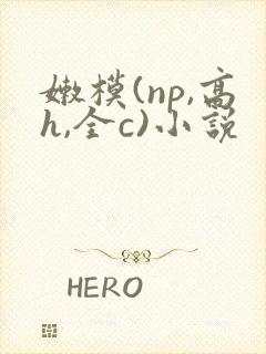 嫩模(np,高h,全c)小说