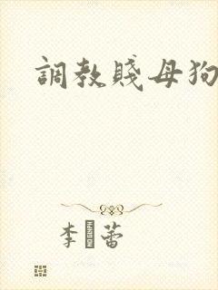 调教贱母狗奴