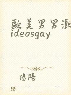 欧美男男激情videosgay