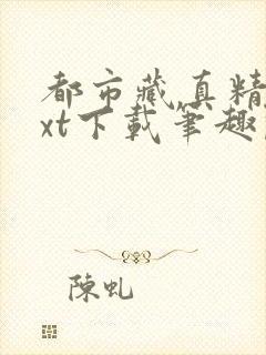 都市藏真精校txt下载笔趣阁封面