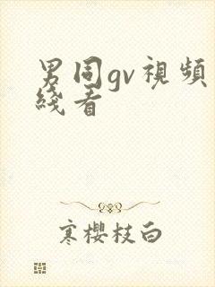 男同gv视频在线看